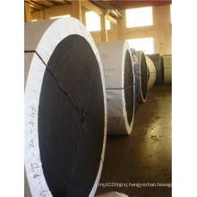 Ep Conveyor Belt for Sale